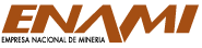 ENAMI logo