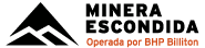 Minera Escondida logo